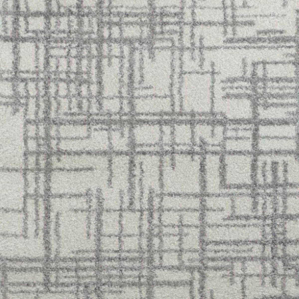 Cozy in Comfy -281 Carpet