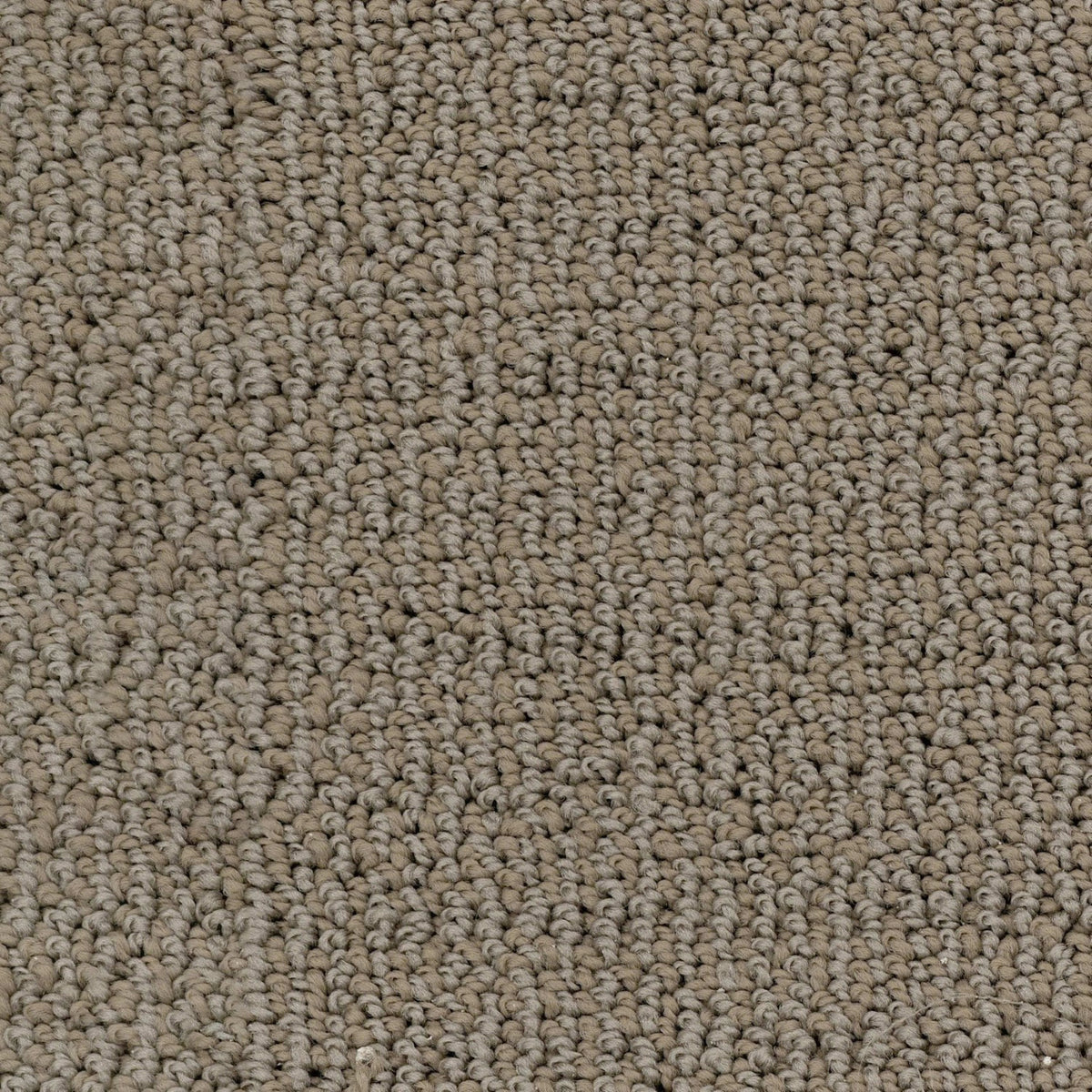 Crystal Bay in Southwood Carpet