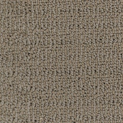 Crystal Bay in Southwood Carpet