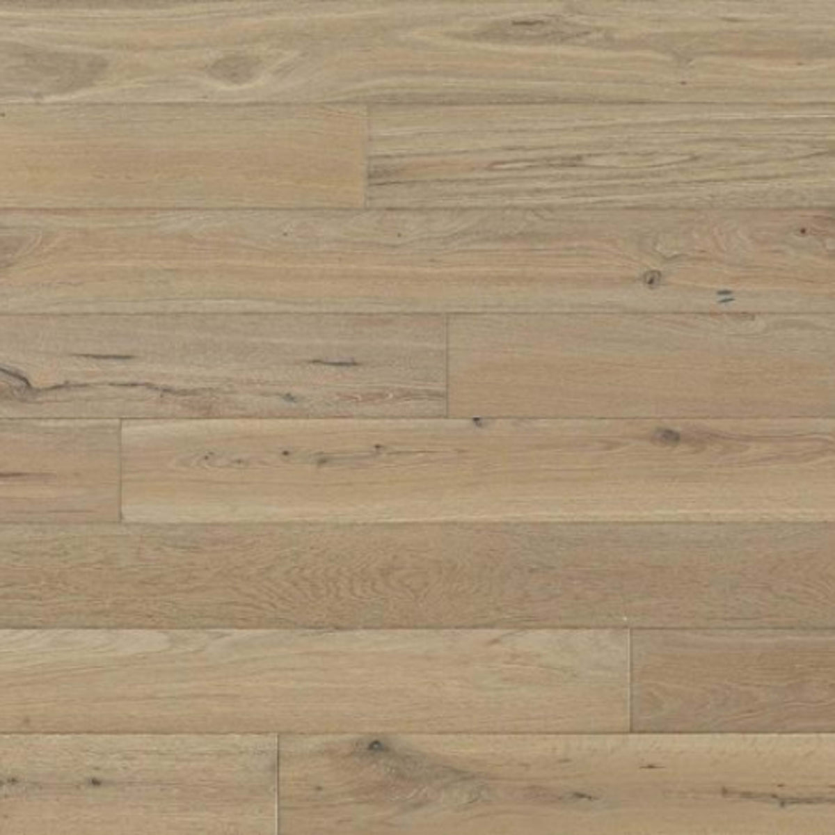 Shores in Curacao Hardwood