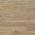 Shores in Curacao Hardwood