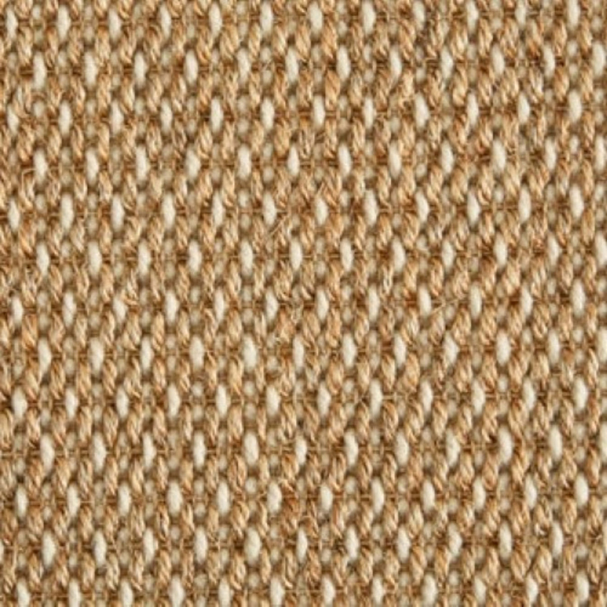 Curacao in Honey Carpet