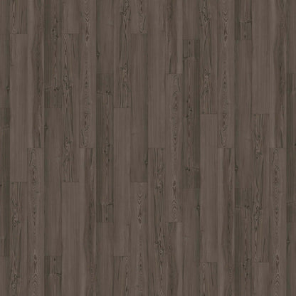 Innovious - Curio in Cypress Pine Luxury Vinyl