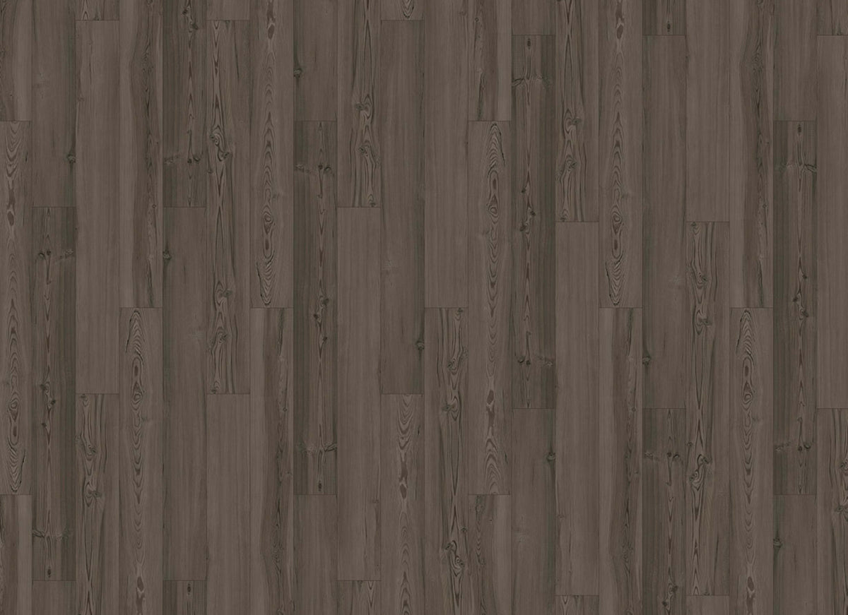 Innovious - Curio in Cypress Pine