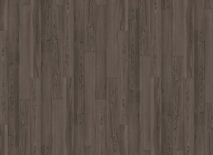 Innovious - Curio in Cypress Pine