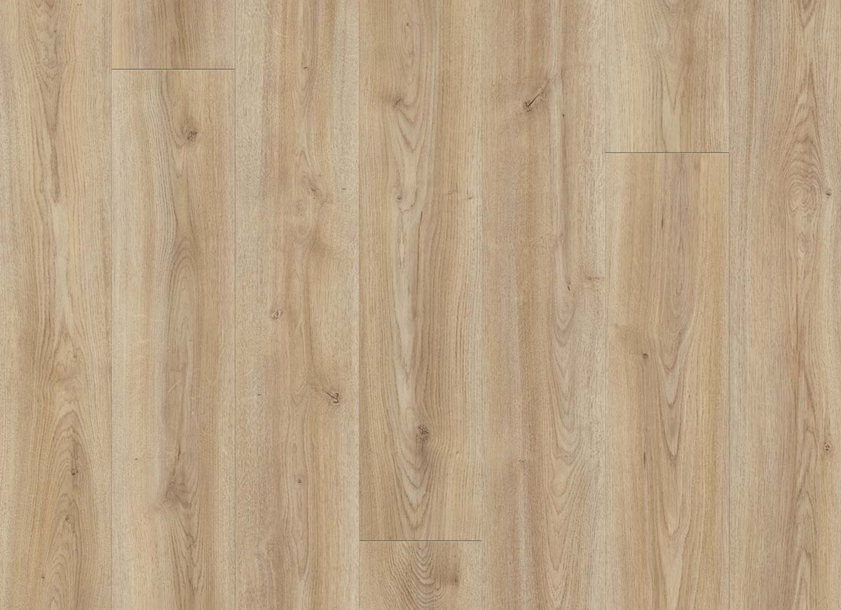 PureGrain Renew - Wood Tech in Maulden Wood