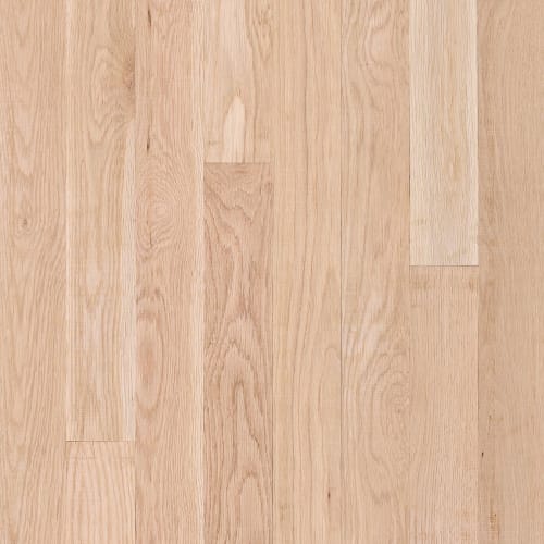 Unfinished White Oak Solid in Unfinished 2-1/4" | Bruce