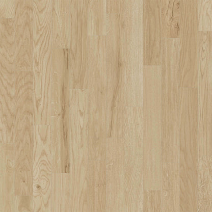 Atmosphere in Super Nova Luxury Vinyl