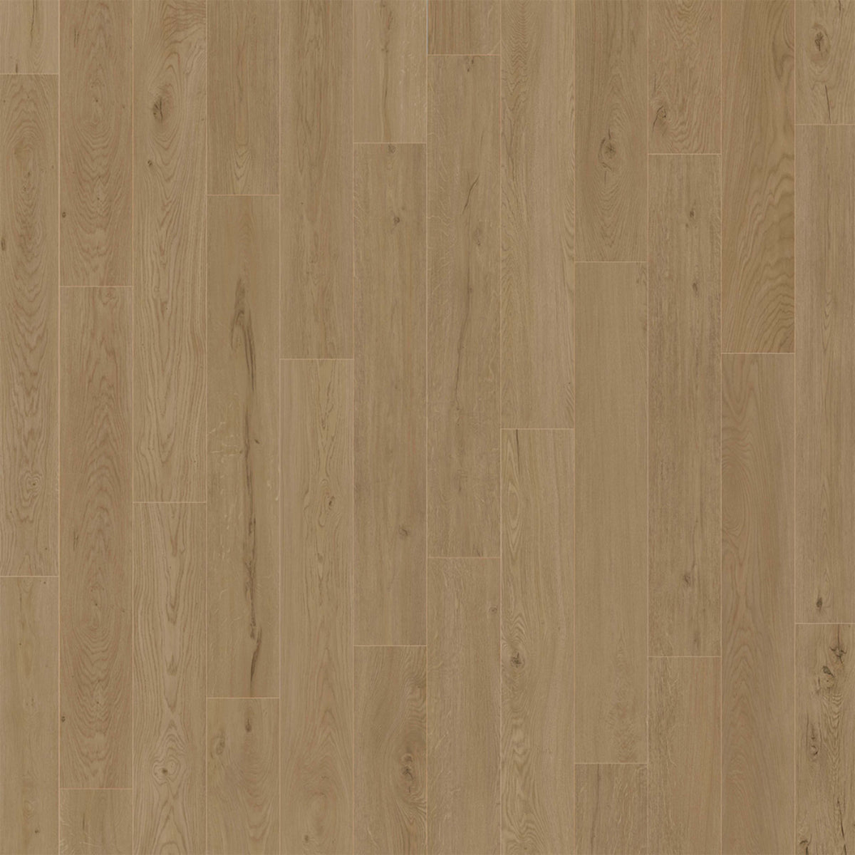 American Standard in Coronado Luxury Vinyl