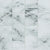 Alterna Veiled Intrigue in Powdered Ash  8 X 16 Luxury Vinyl