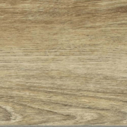 ProSeries - Adventuro in Explorer Luxury Vinyl