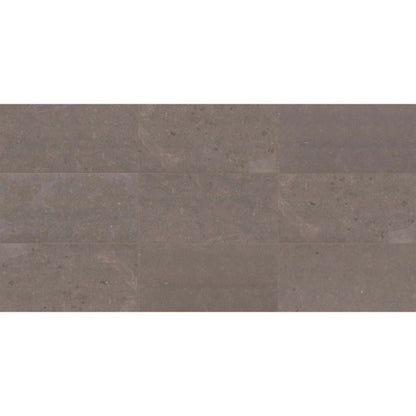 Parksville Stone in Matterhorn  12x24 Natural Stone