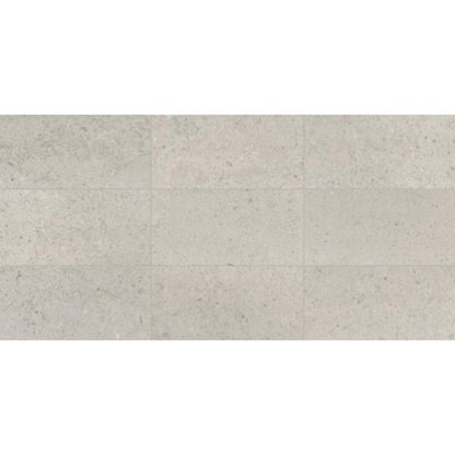 Center City in Delancey Grey 24x24 Honed Natural Stone
