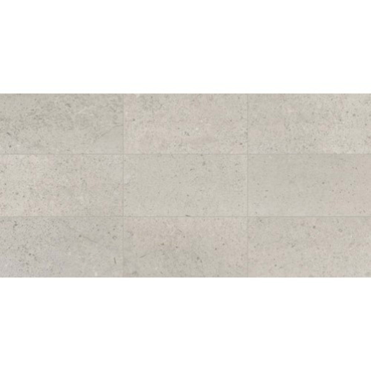 Center City in Delancey Grey 12x24 Honed Natural Stone