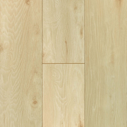 Established Style in Distant Beach 8.03" Laminate