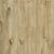 Established Style in Treasured Summer 8.03" Laminate