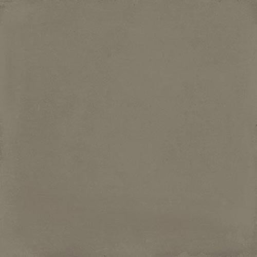 D_Segni in Mud Tile