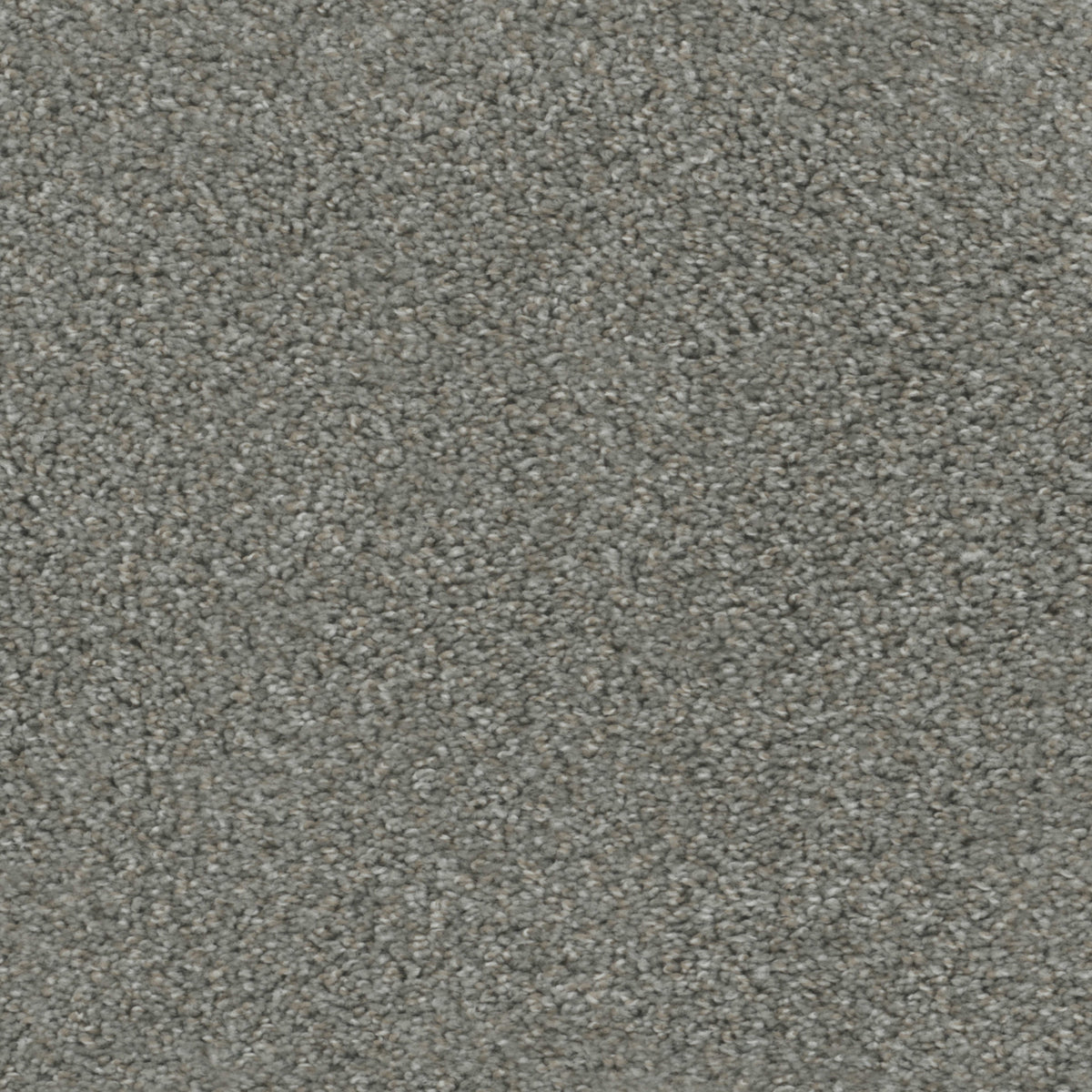 Regal Touch in Grey Umbra Carpet