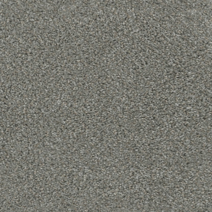 Regal Touch in Grey Umbra Carpet