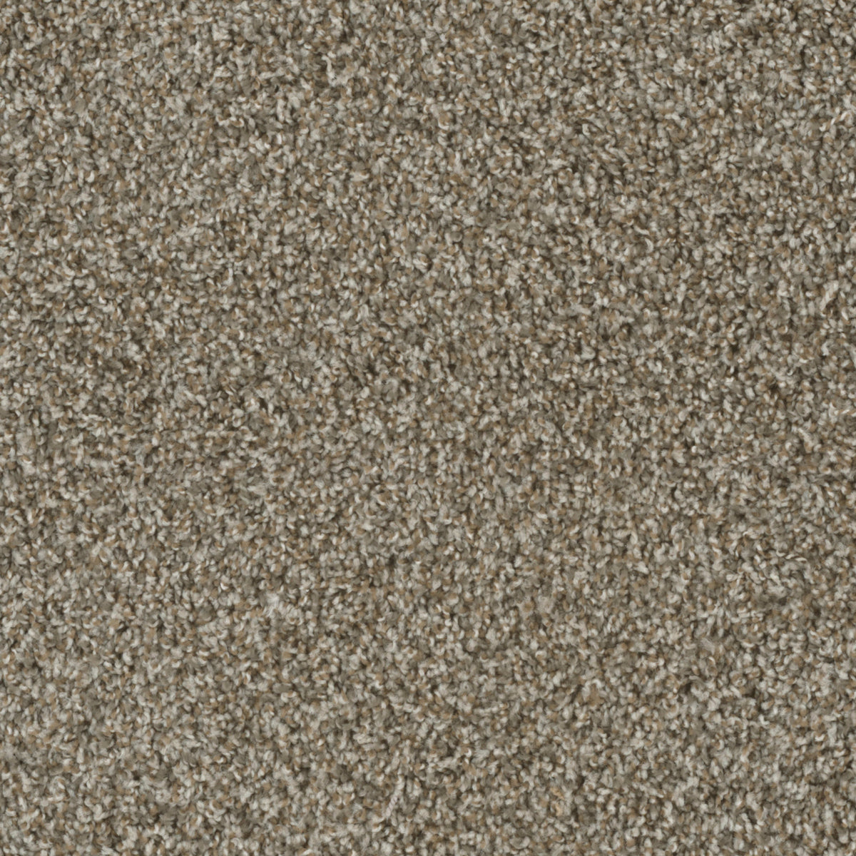 Columbia in Desert Jasper Carpet