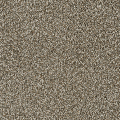 Columbia in Desert Jasper Carpet