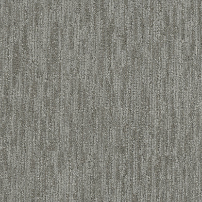 Lewis in Big Sur Carpet
