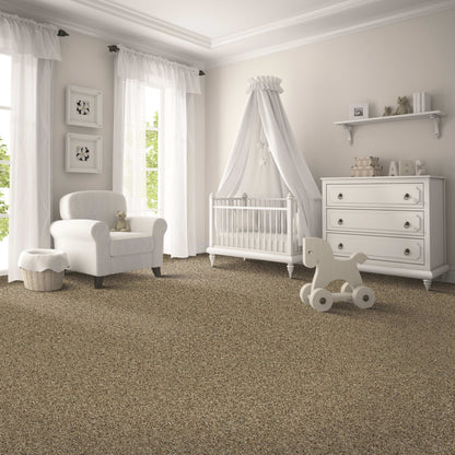 Darwin II in Canvas Carpet
