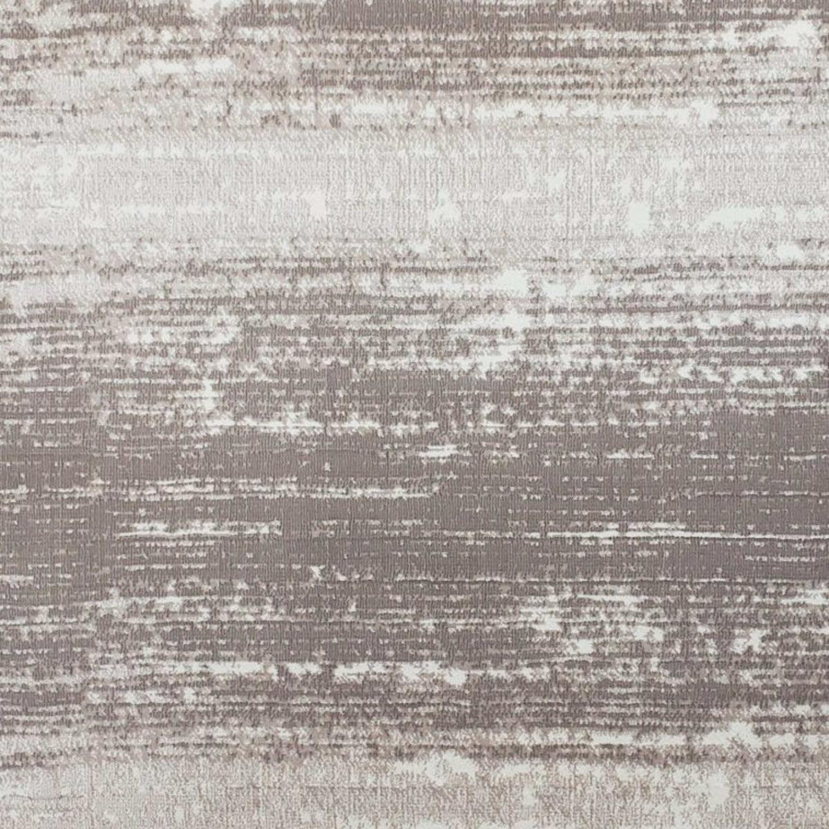 Del Moro in Clayfield Carpet