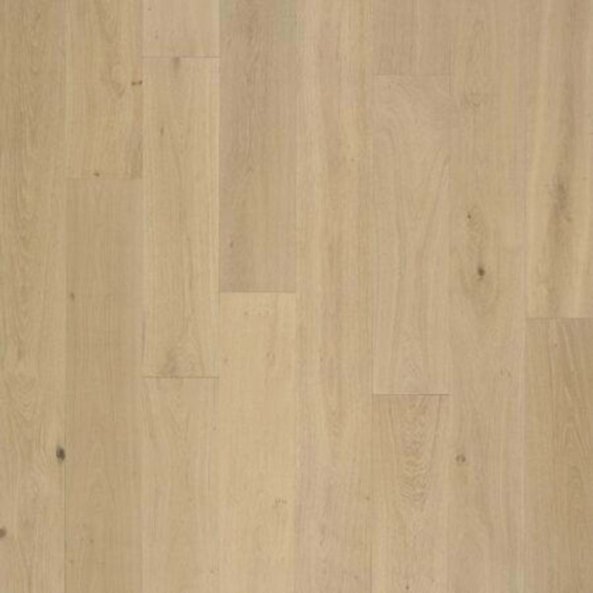 PremierLux in Delightful Oak Luxury Vinyl