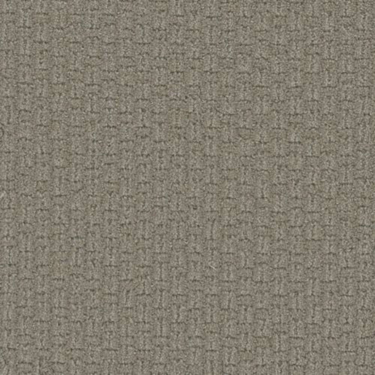 GRAND ISLE in Desert Flower Carpet