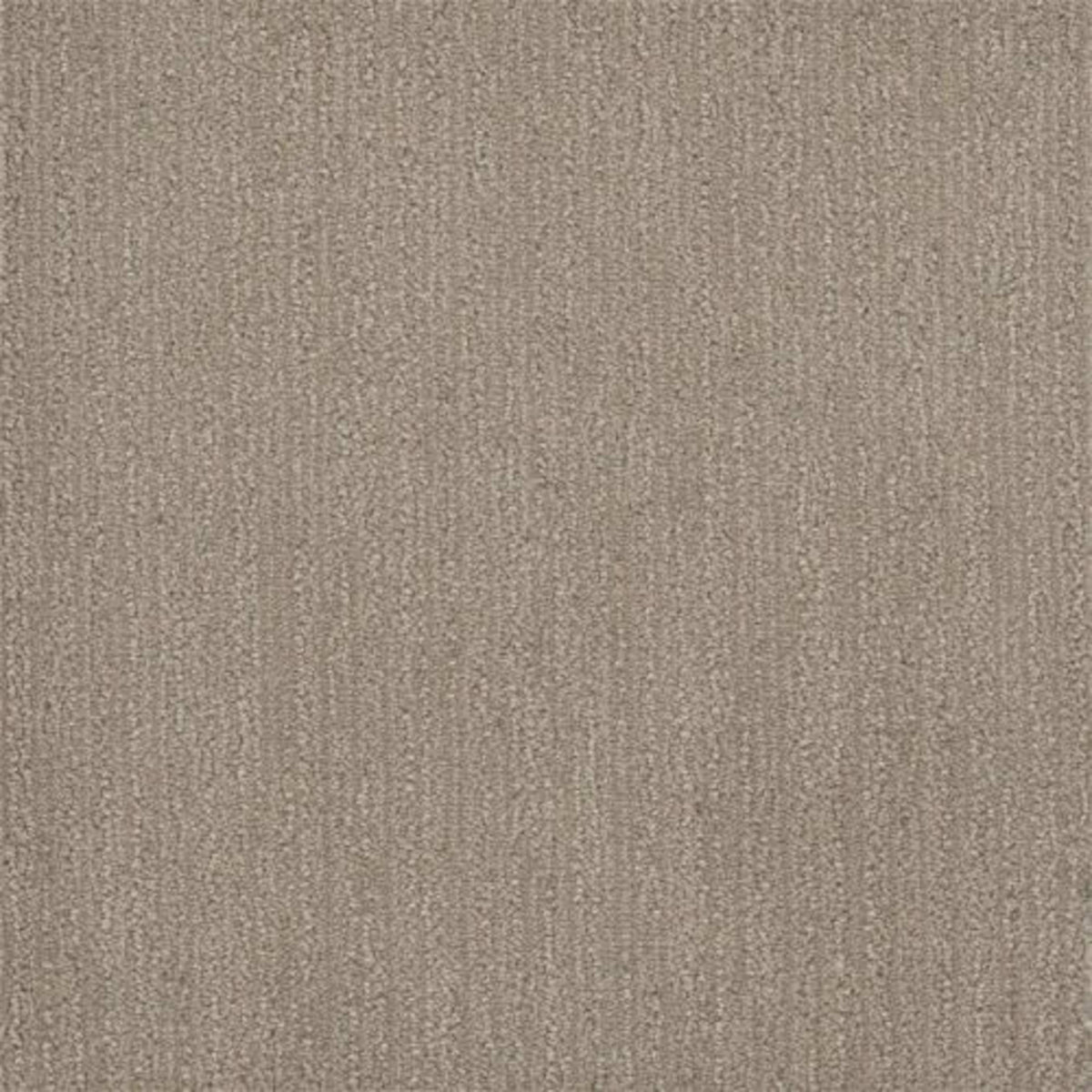 SURFSIDE in Desert Flower Carpet