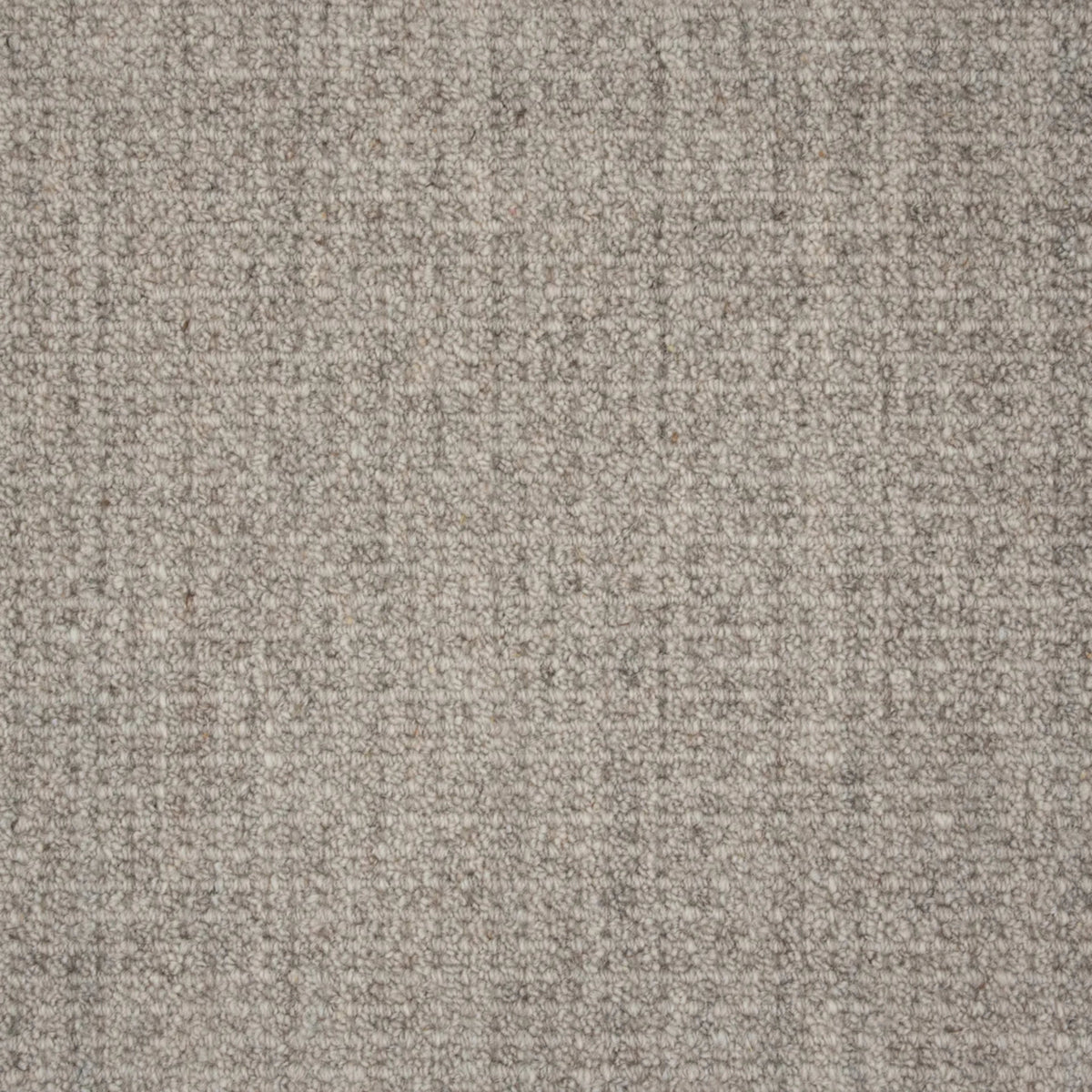 Deva Delight in Fossil Carpet