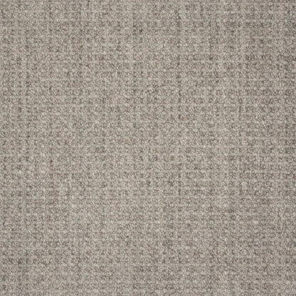 Deva Delight in Fossil Carpet