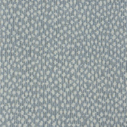 Ditto in Powder Blue Carpet