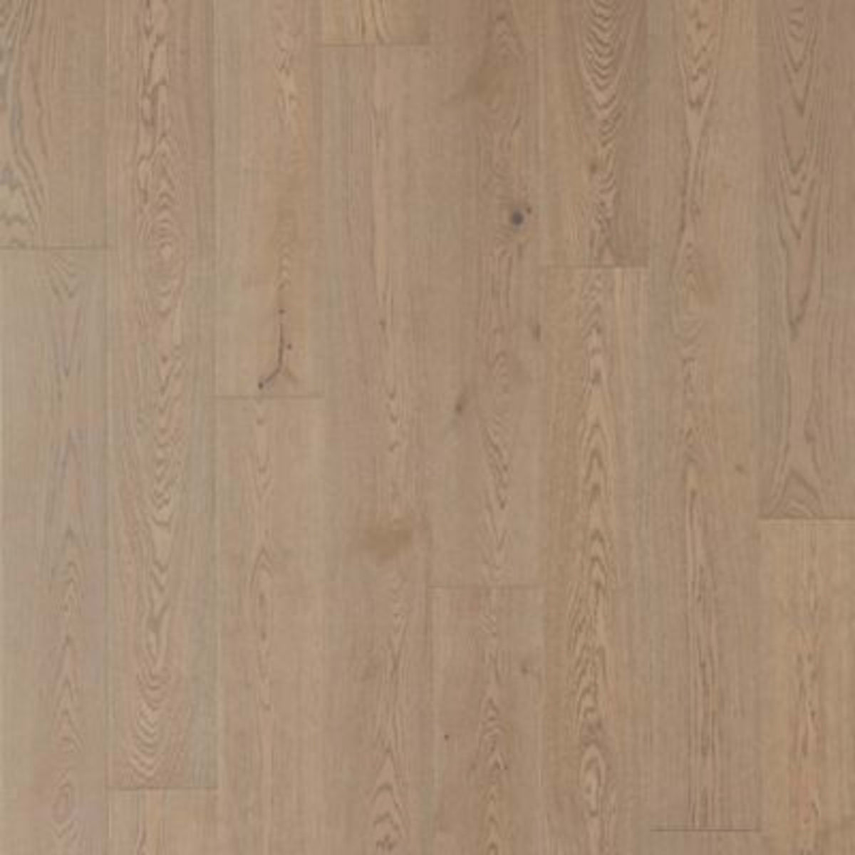 Soho Modesto in Dorian Gray Oak Hardwood