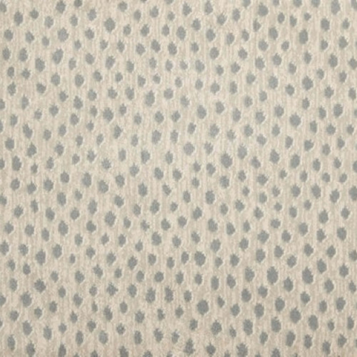 Dottie
