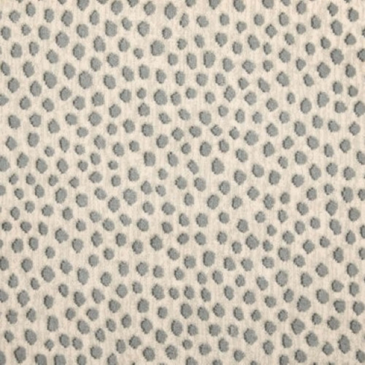 Dottie in White Rain Carpet