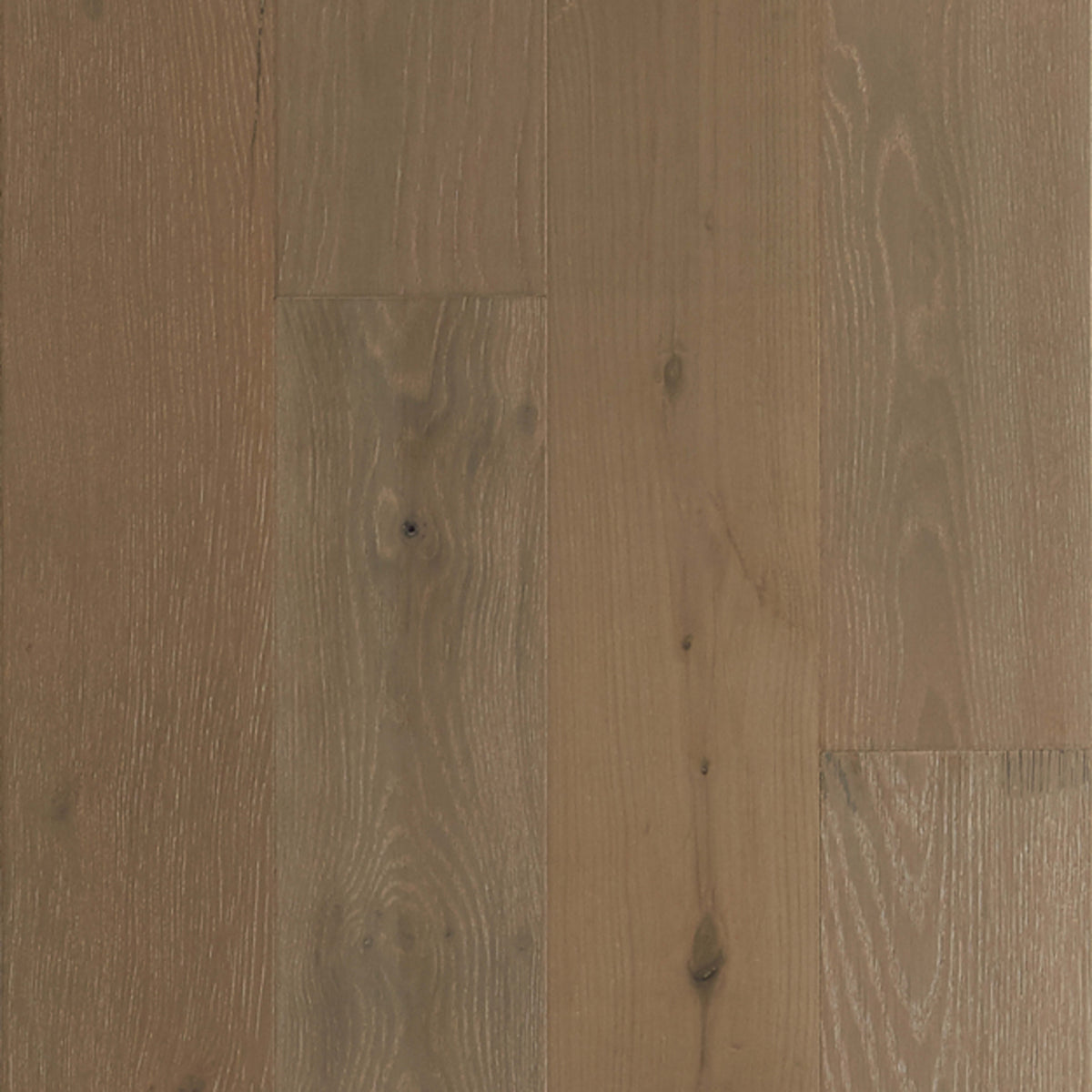 TimberBrushed Silver White Oak Engineered in Coast To Coast Hardwood