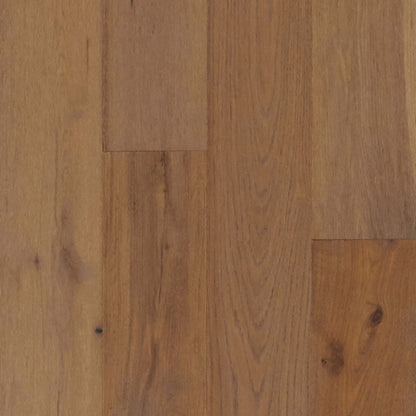 TimberBrushed Gold White Oak Engineered in Sand Mountain Hardwood