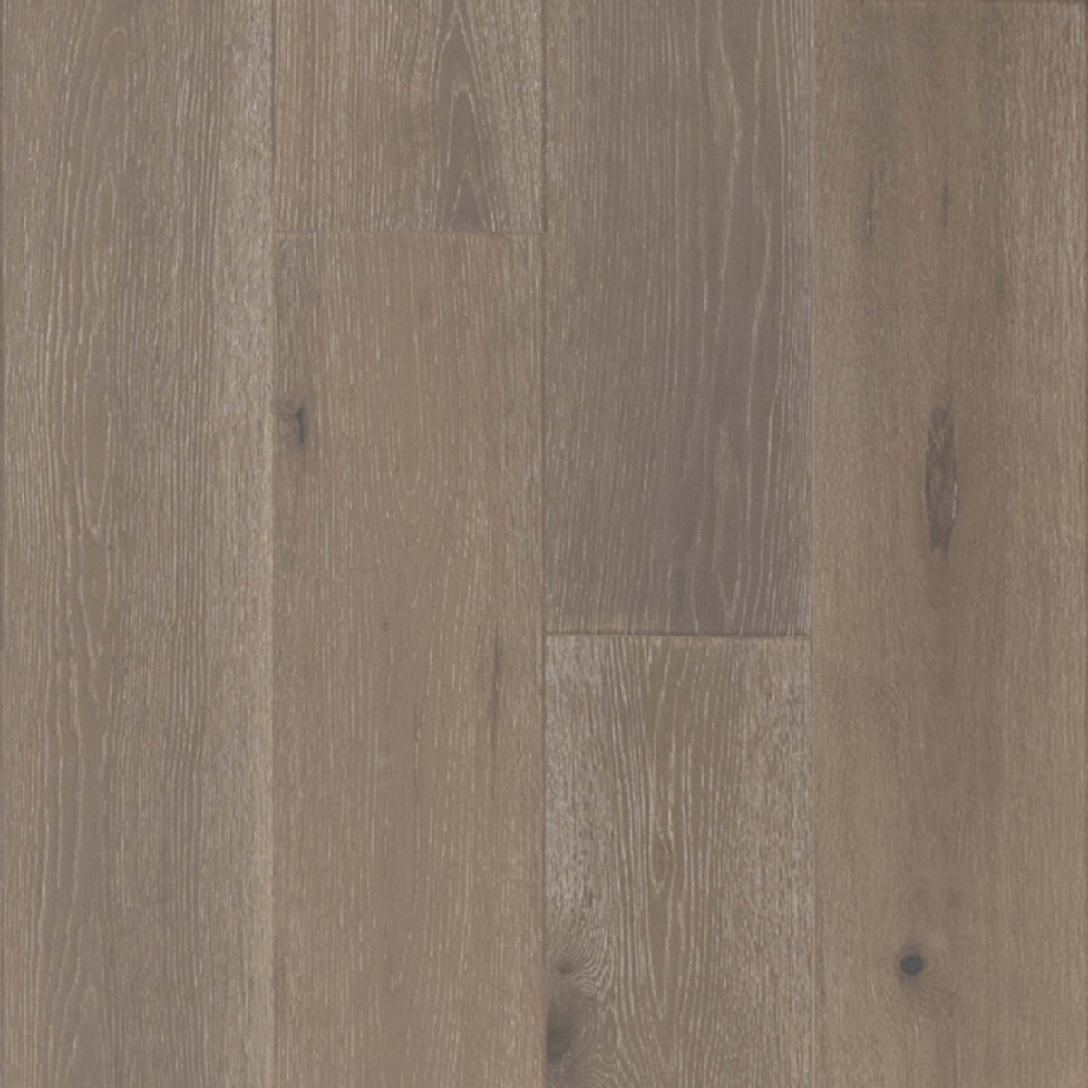 TimberBrushed Gold White Oak Engineered in Breezy Point Hardwood