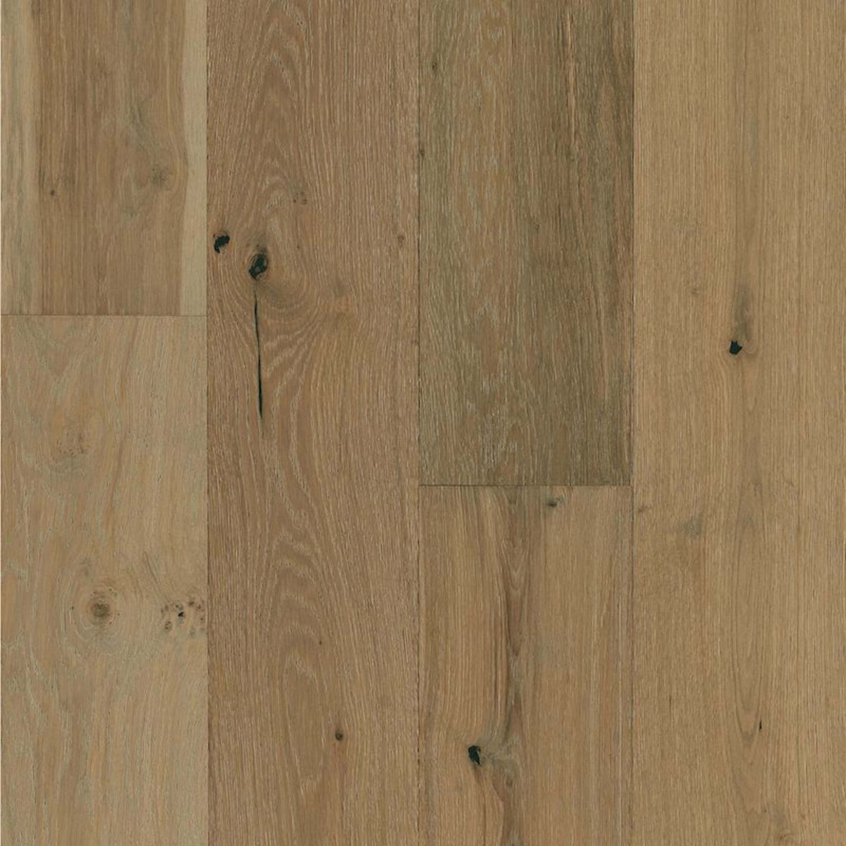 Nature's Canvas White Oak Engineered in Pastel Impression 7.48" Hardwood