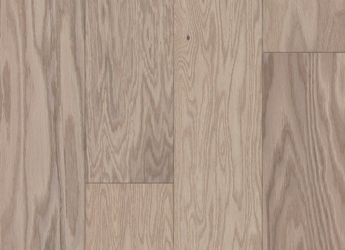 Prime Harvest Northern Red Oak Engineered in Light Taupe 6.5"