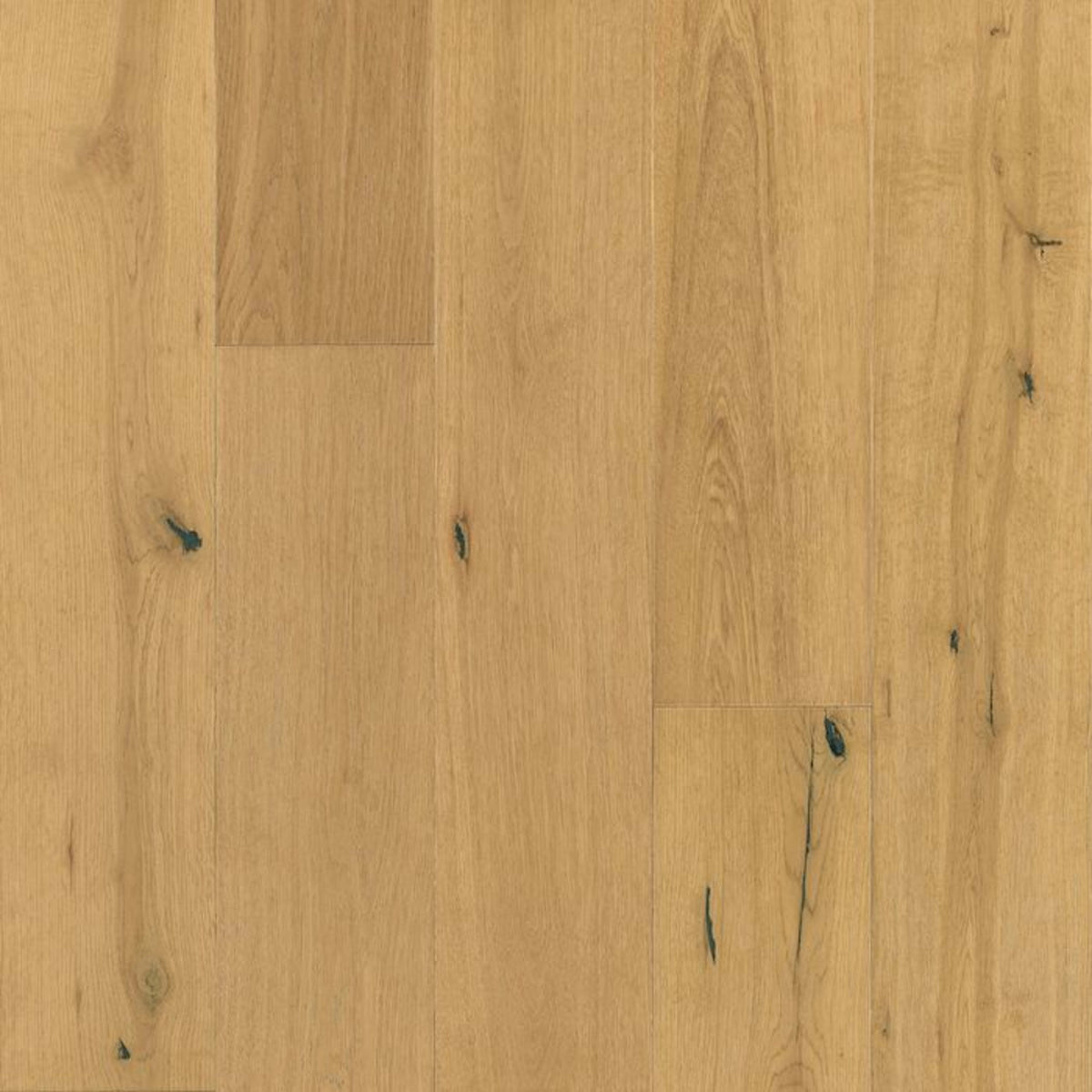 TimberBrushed Bronze  White Oak Engineered in Streaming Sunlight 5" Hardwood