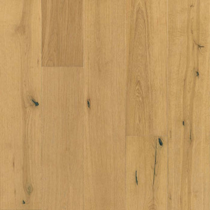 TimberBrushed Bronze  White Oak Engineered in Streaming Sunlight 5" Hardwood