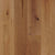 TimberBrushed Platinum  White Oak Engineered in Pale Ale 9.056" Hardwood