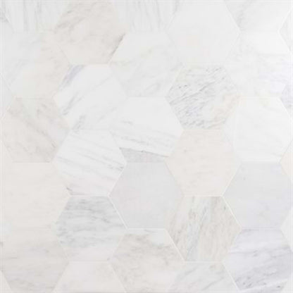 Epoch in Asian Statuary 10'' Hexagon Honed Natural Stone