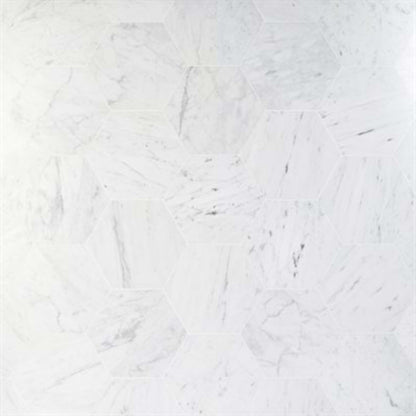 Epoch in White Carrara 10'' Hexagon Honed Natural Stone