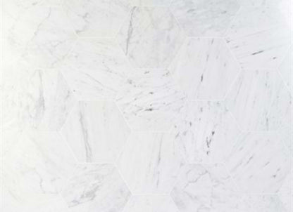 Epoch in White Carrara 10'' Hexagon Honed