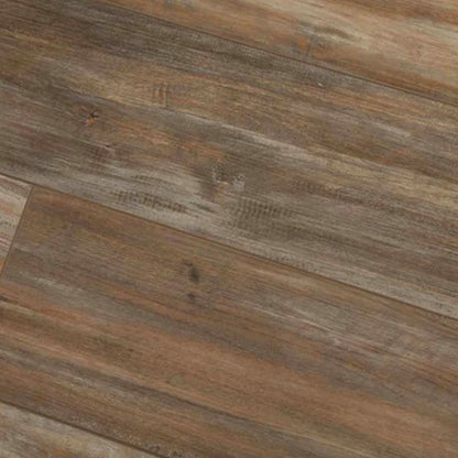 Exotica in 306 Luxury Vinyl