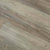Exotica in 307 Luxury Vinyl